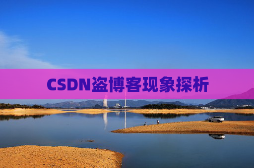 CSDN盗博客现象探析